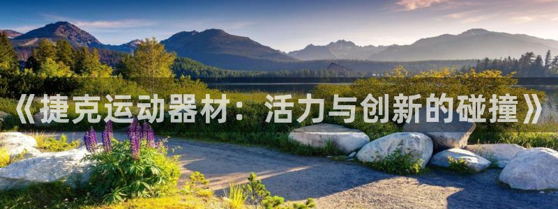 意昂体育4官方客服电话:《捷克运动器材:活力与创新的碰撞》